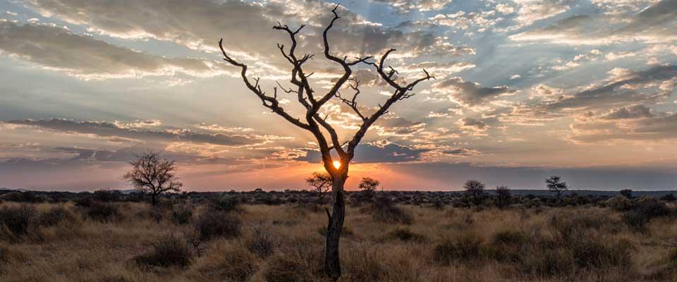 Naankuse Lodge Windhoek Dış mekan fotoğraf