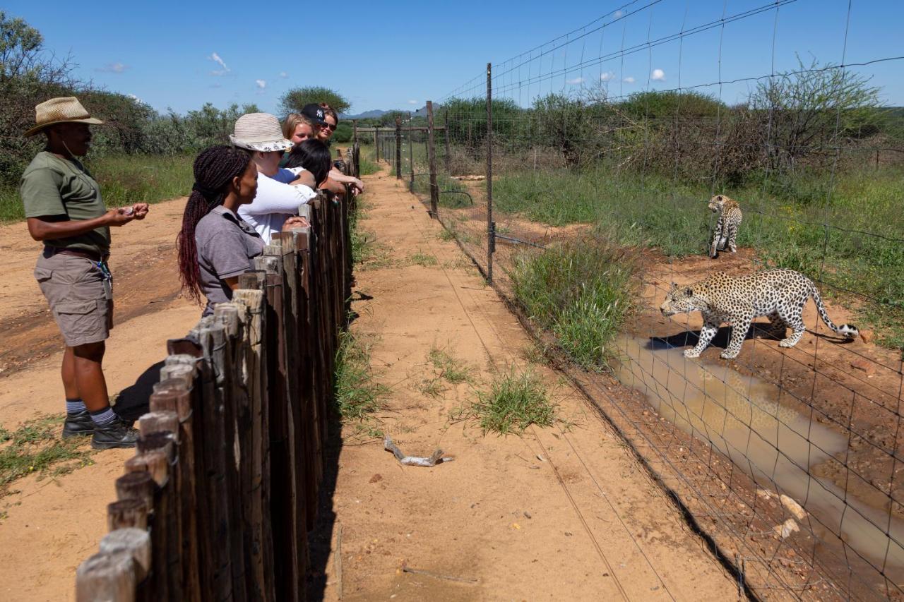 Naankuse Lodge Windhoek Dış mekan fotoğraf