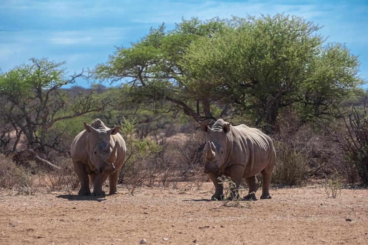 Naankuse Lodge Windhoek Dış mekan fotoğraf