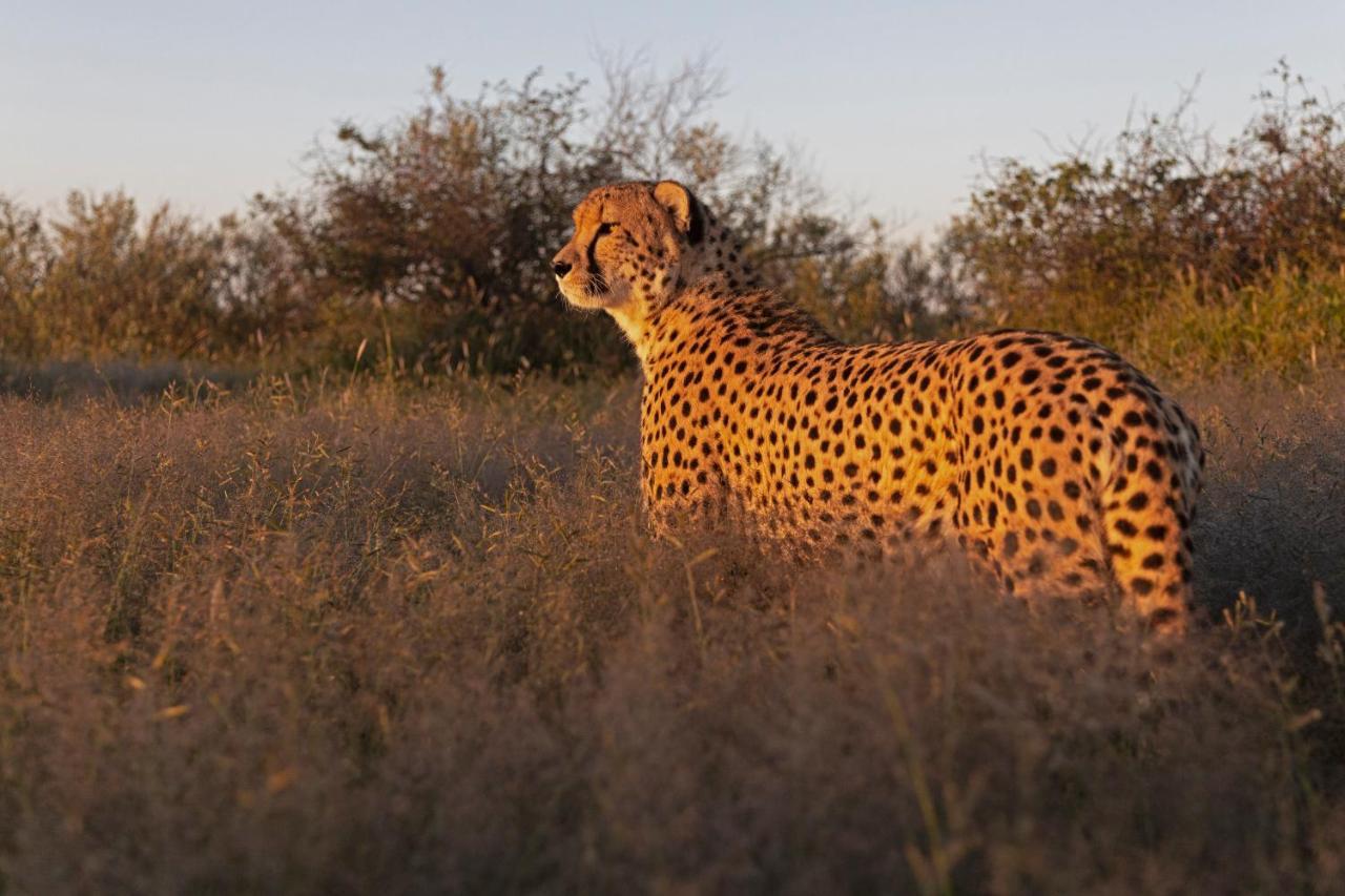 Naankuse Lodge Windhoek Dış mekan fotoğraf